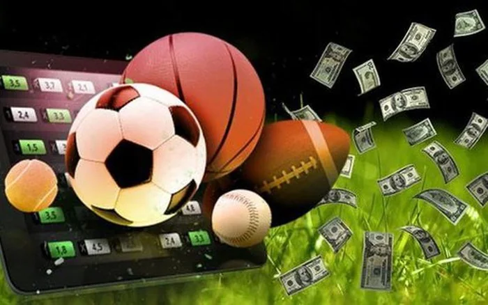 Tampilan pertandingan olahraga dengan fokus pada jadwal dan kompetisi